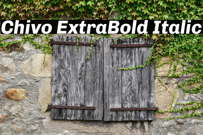 Chivo ExtraBold Italic Example 1