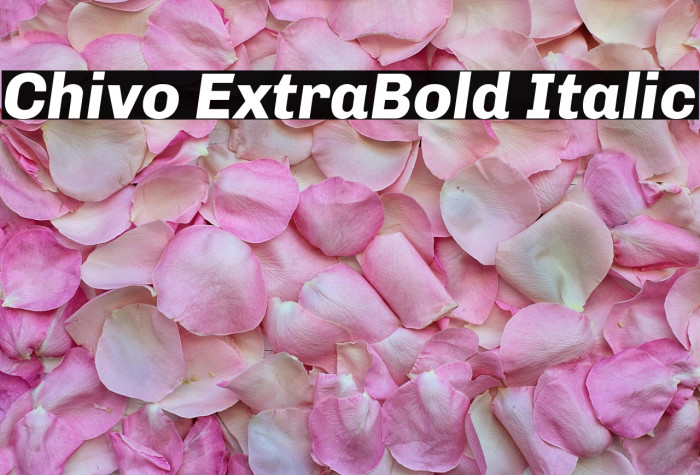 Chivo ExtraBold Italic Example 2