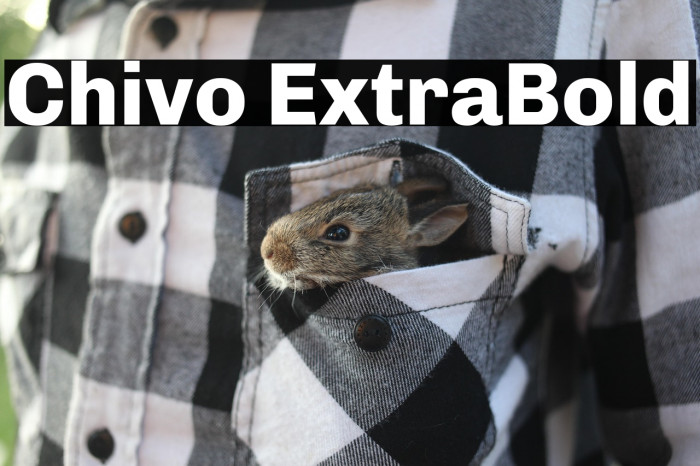 Chivo ExtraBold Example 3