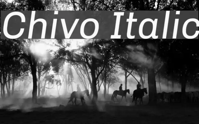 Chivo Italic Font examples