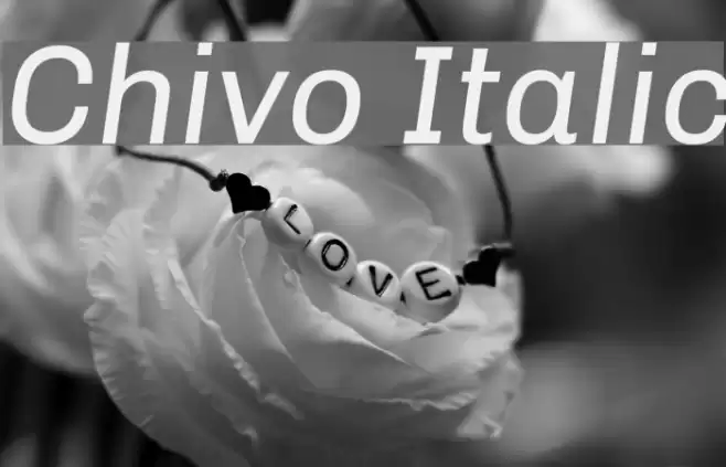 Chivo Italic Font examples