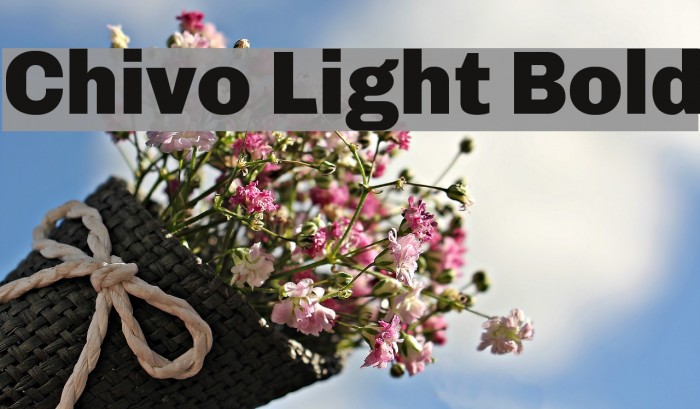 Chivo Light Bold Font examples