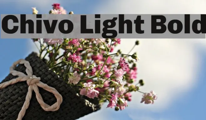 Chivo Light Bold Example 3