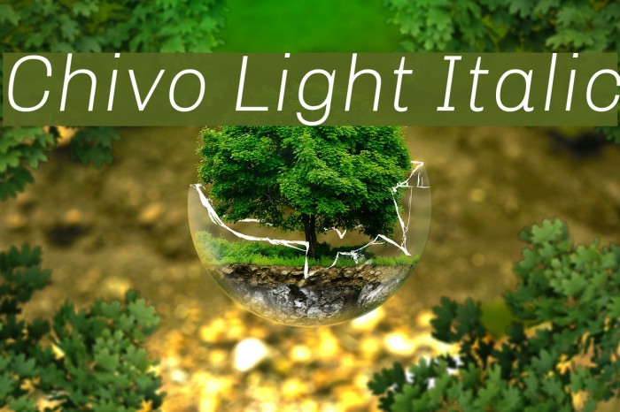Chivo Light Italic Font examples