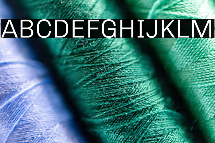 Chivo Light Example 3