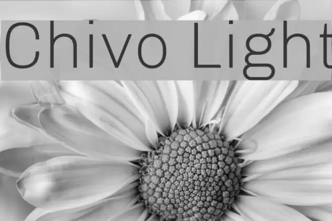 Chivo Light Font examples