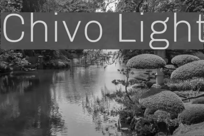 Chivo Light Font examples