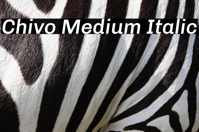 Chivo Medium Italic Example 1