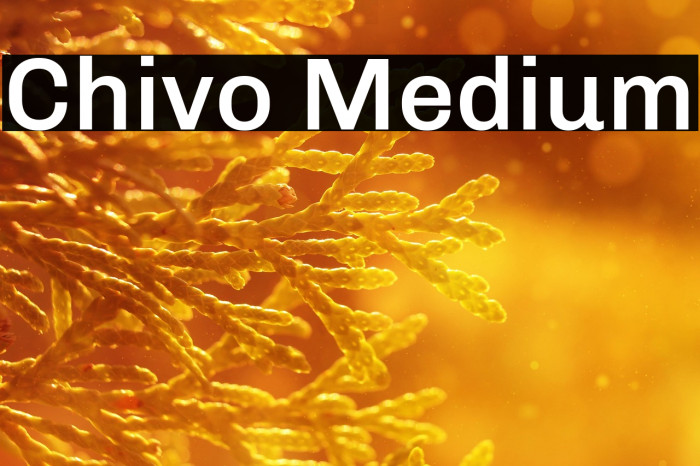 Chivo Medium Example 1