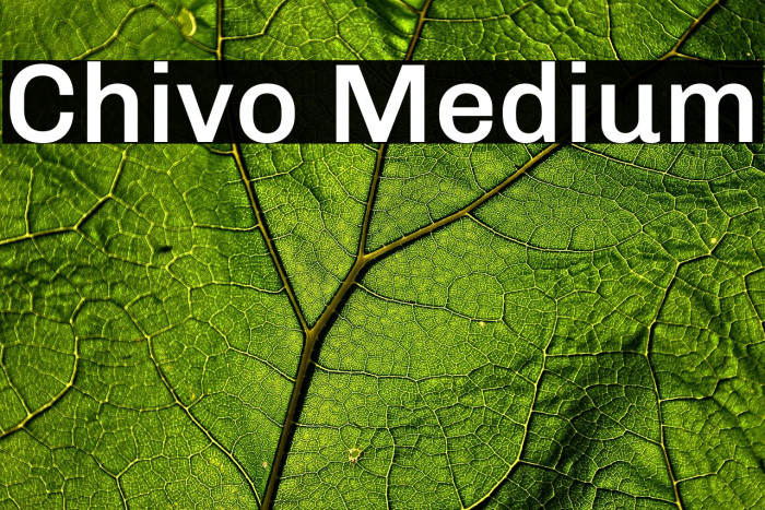 Chivo Medium Example 2