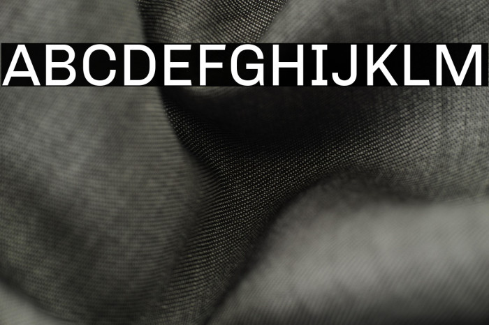 Chivo Regular Example 1