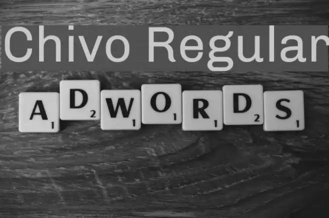 Chivo Regular Font examples