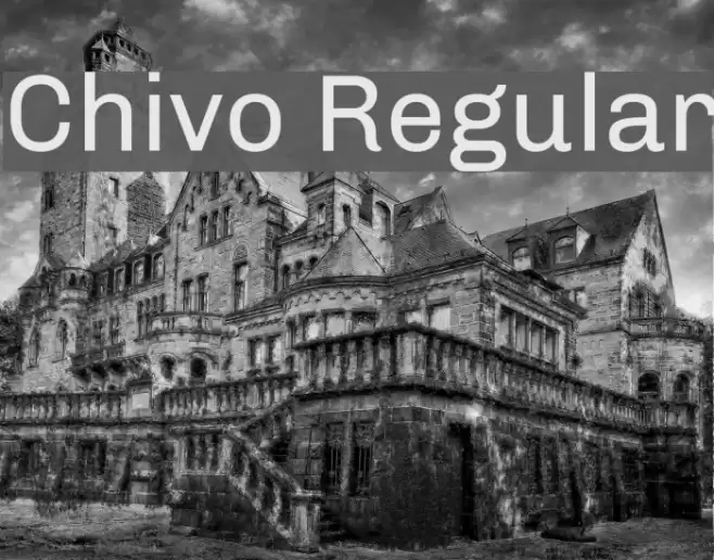 Chivo Regular Font examples