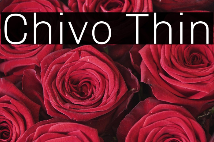 Chivo Thin Example 3