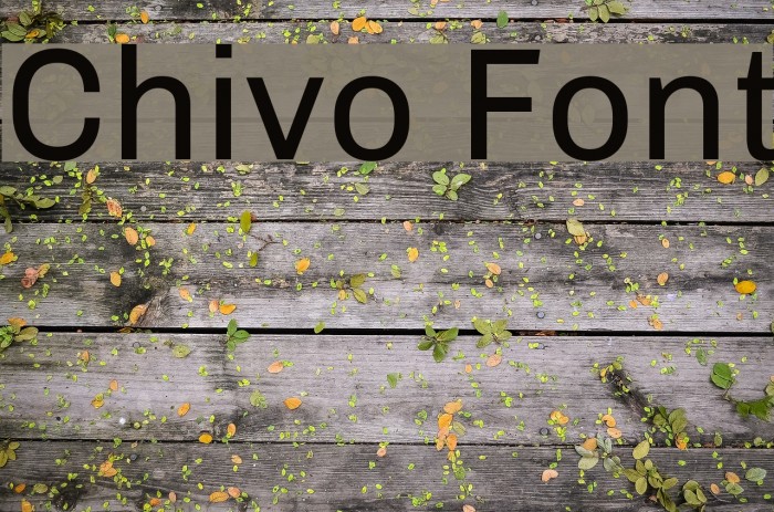 Chivo Font examples