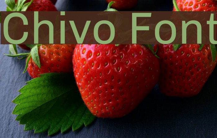 Chivo Font examples