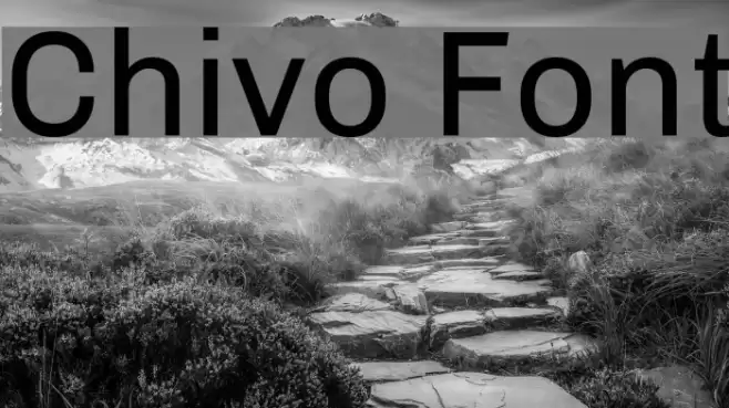 Chivo Font examples
