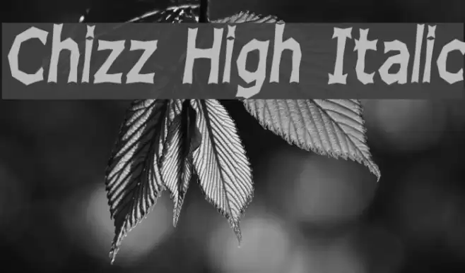 Chizz High Italic Font examples