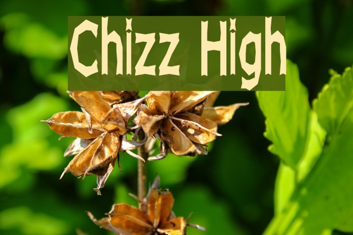 Chizz High Font examples