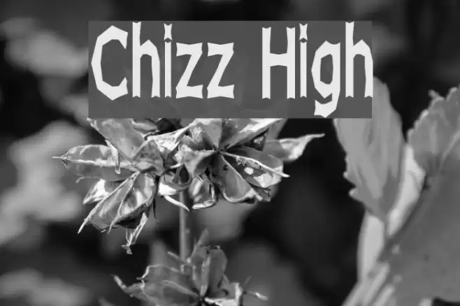 Chizz High Caratteri examples