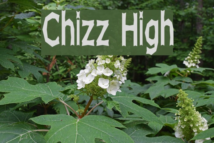 Chizz High Font examples