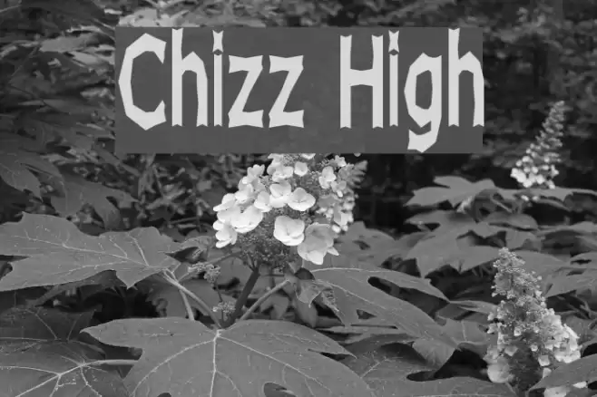 Chizz High Caratteri examples