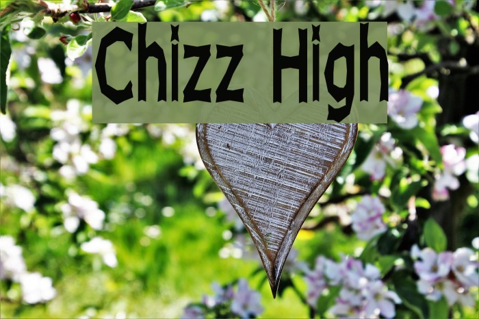 Chizz High Font examples