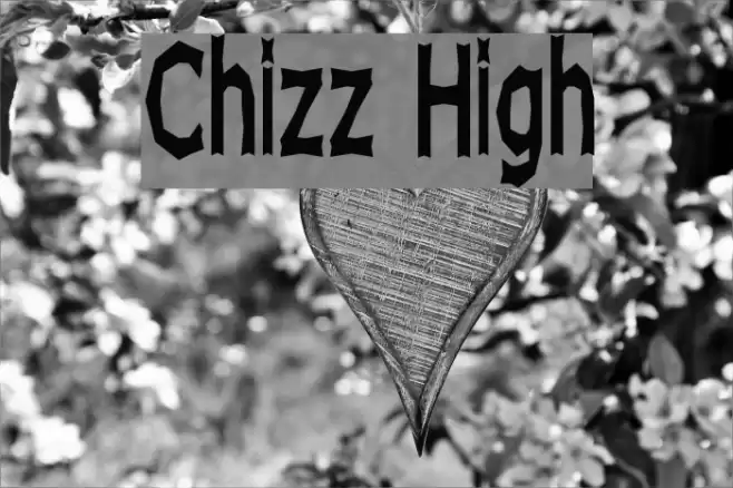 Chizz High Caratteri examples