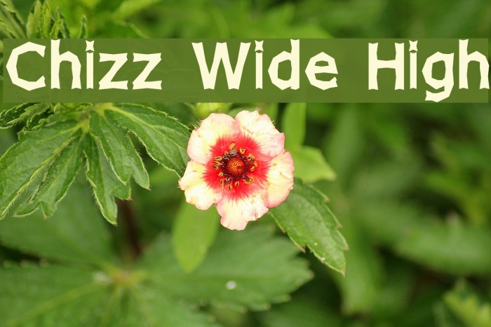 Chizz Wide High Font examples