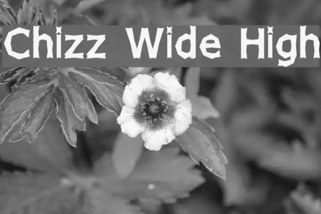 Chizz Wide High Font examples
