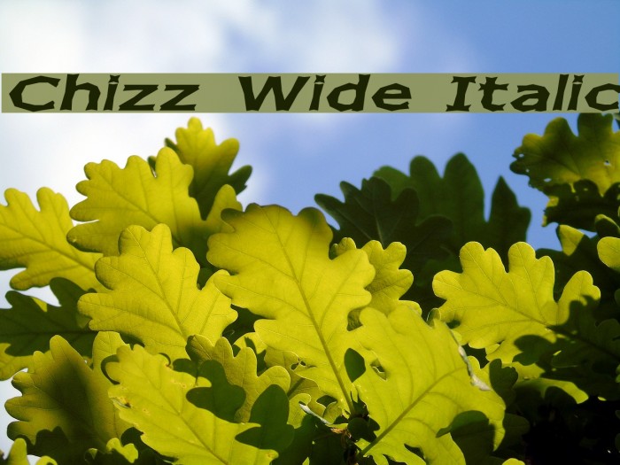 Chizz Wide Italic Font examples