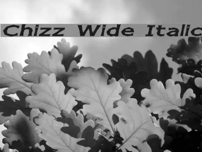 Chizz Wide Italic フォント examples