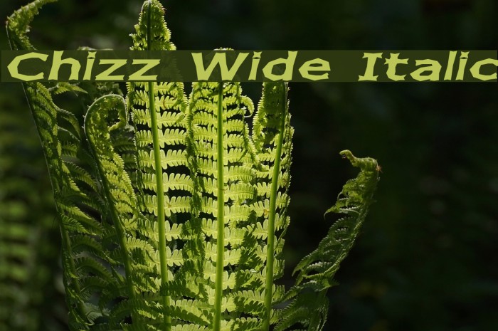 Chizz Wide Italic Font examples