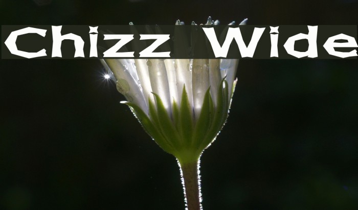 Chizz Wide Font examples