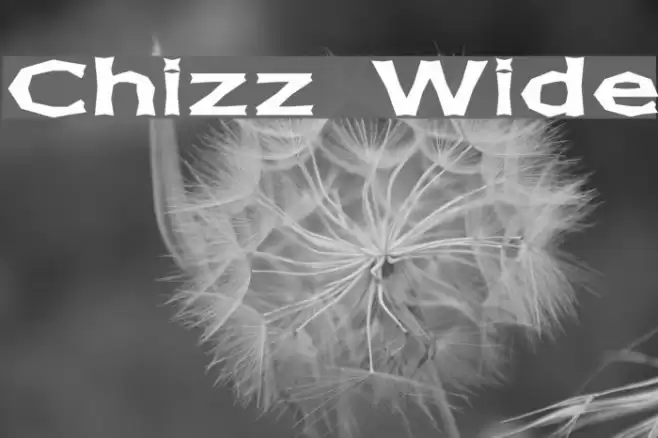 Chizz Wide Font examples