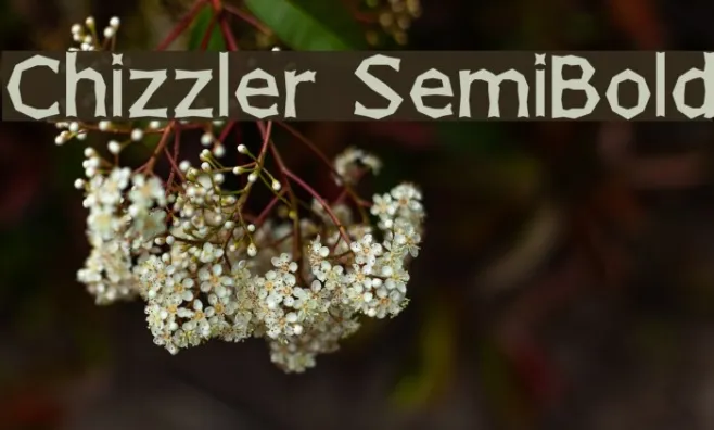 Chizzler SemiBold Example 3