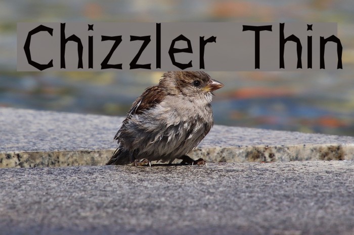 Chizzler Thin Font examples