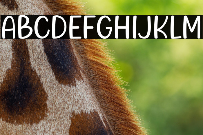 Chloe Mate Example 3