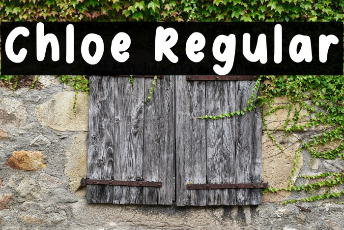 Chloe Regular Example 1