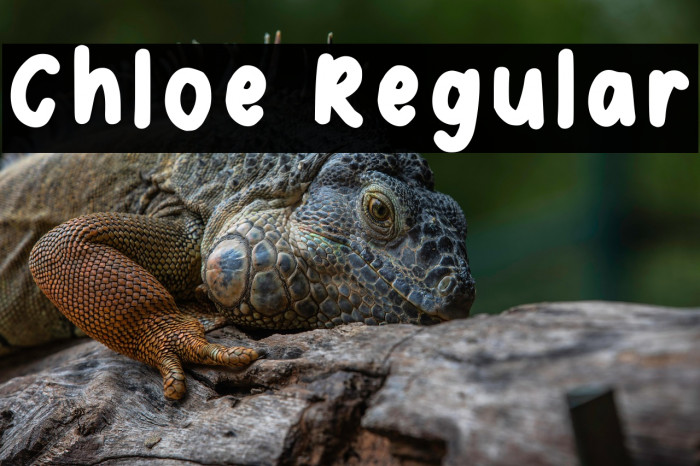 Chloe Regular Example 2