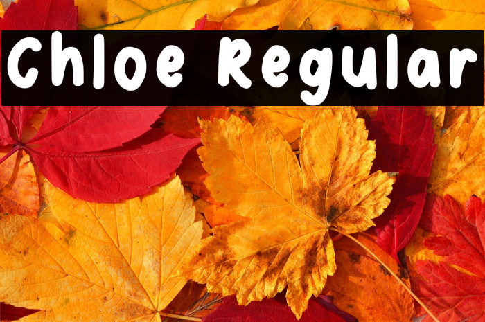 Chloe Regular Example 3