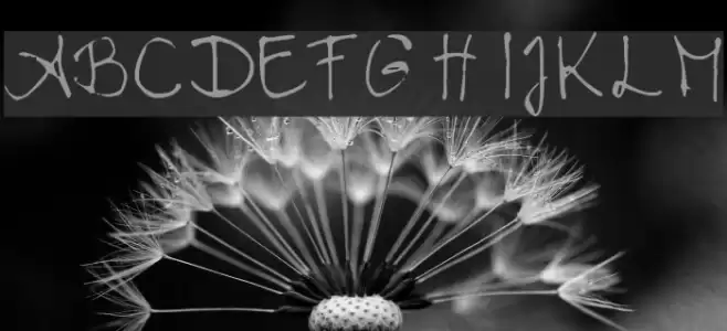 Chloe's handwriting Font examples