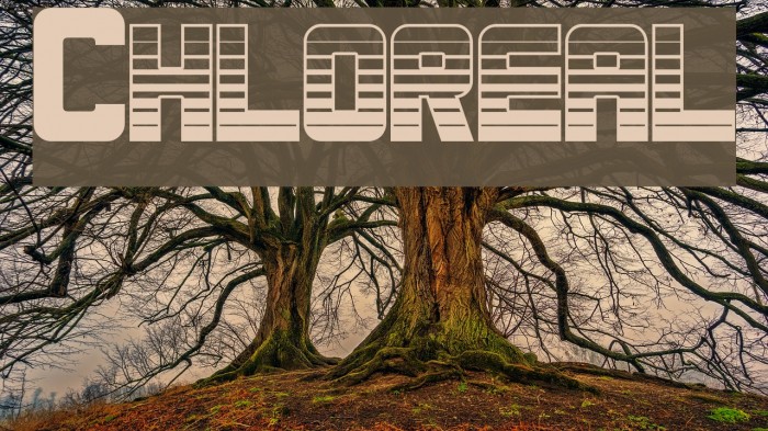 Chloreal Font examples