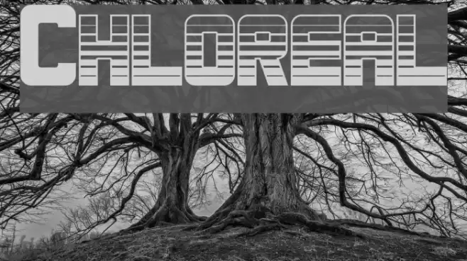 Chloreal Fuentes examples