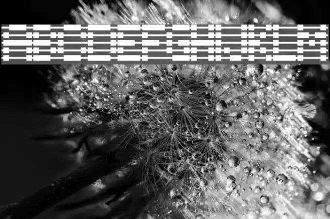 Chloriin Font examples