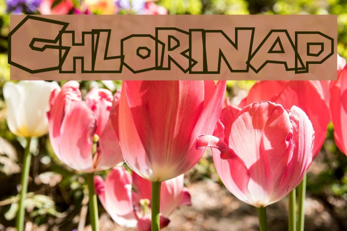 Chlorinap Font examples