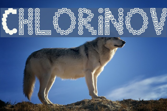 Chlorinov Font examples