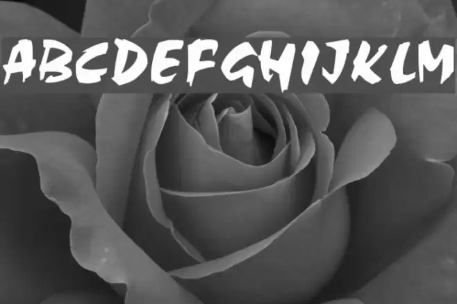 Choc Polices examples