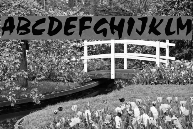 Choc Polices examples