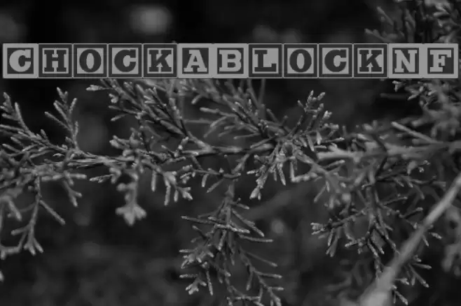 ChockABlockNF Font examples